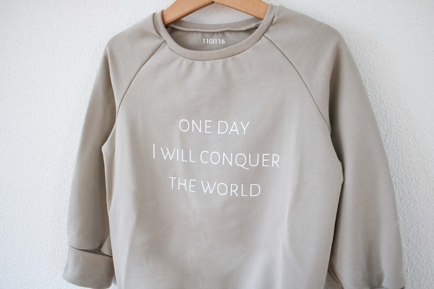 Sweater "one day I will conquer the world" (Taupe Grau/Beige)