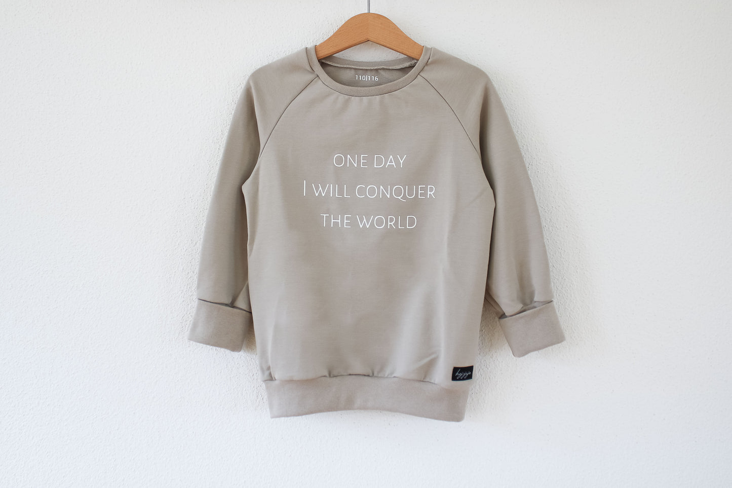 Sweater "one day I will conquer the world" (Taupe Grau/Beige)