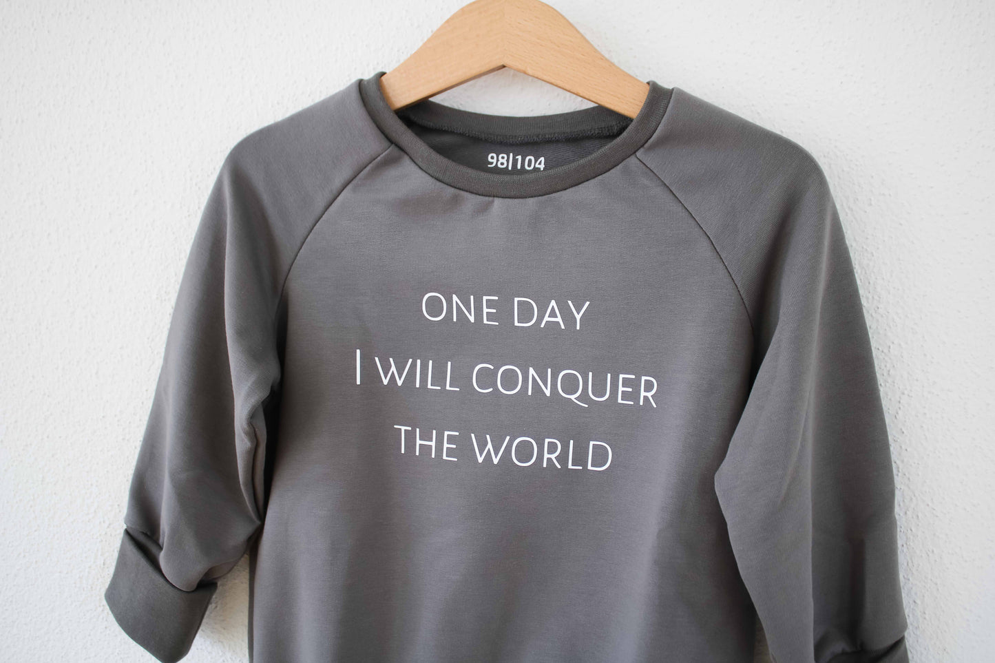 Sweater "one day I will conquer the world" (Taupe Grau/Beige)