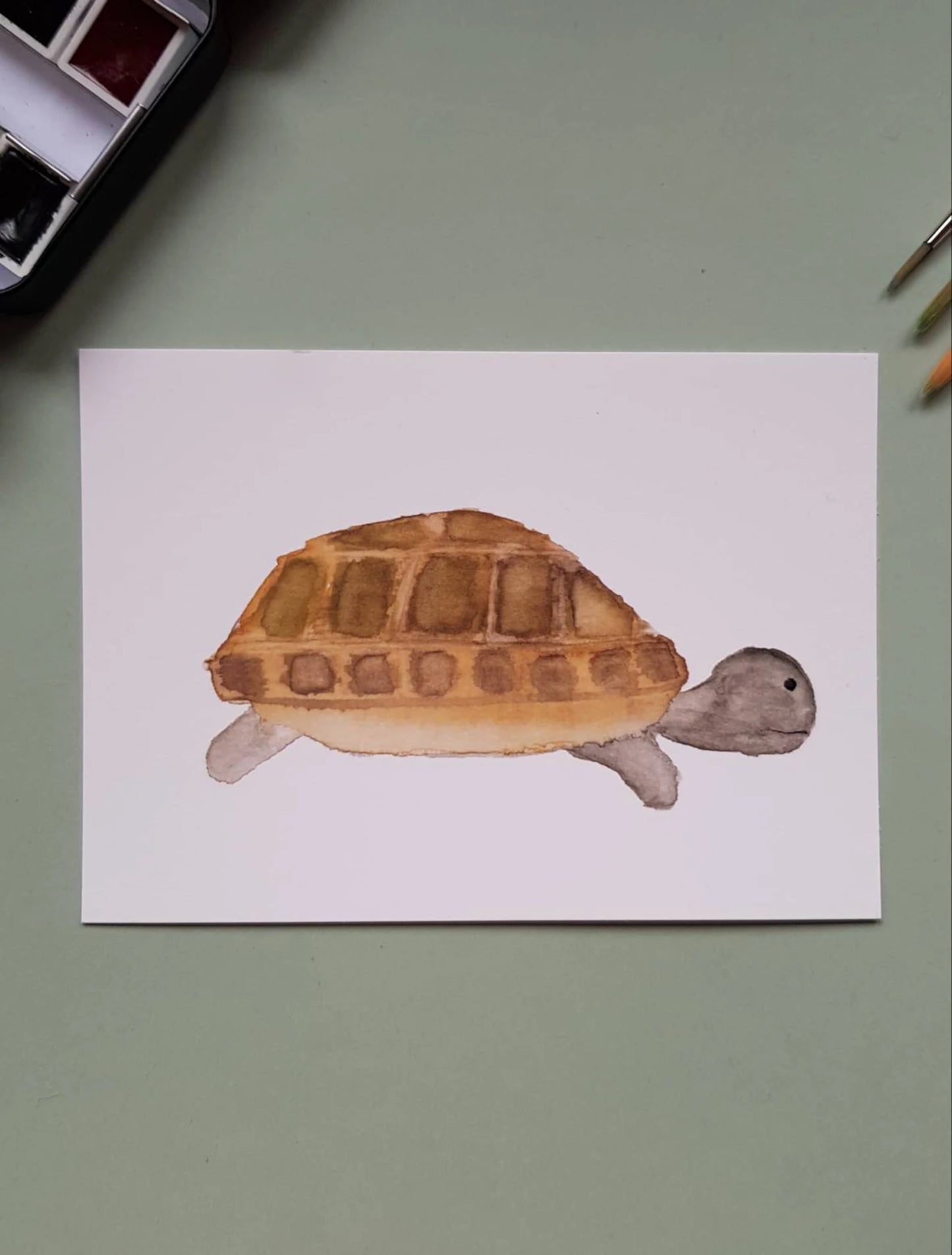 Postkarte "Schildkröte" (handgemalt)