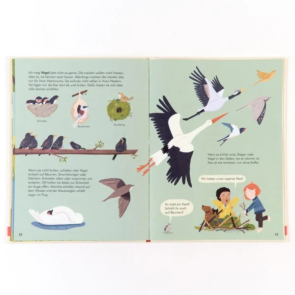 Buch Tierische Wohnungen